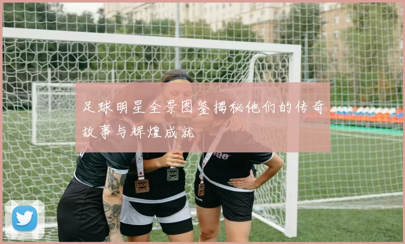 足球明星全景图鉴揭秘他们的传奇故事与辉煌成就