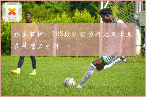 独家解析：TES战队实力对比及未来发展潜力分析