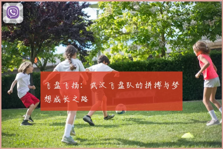 飞盘飞扬：武汉飞盘队的拼搏与梦想成长之路