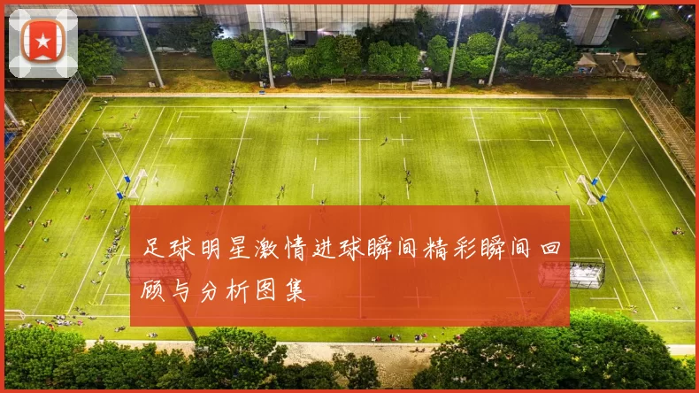 足球明星激情进球瞬间精彩瞬间回顾与分析图集