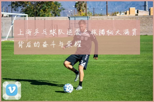 上海乒乓球队逆袭之旅揭秘大满贯背后的奋斗与荣耀