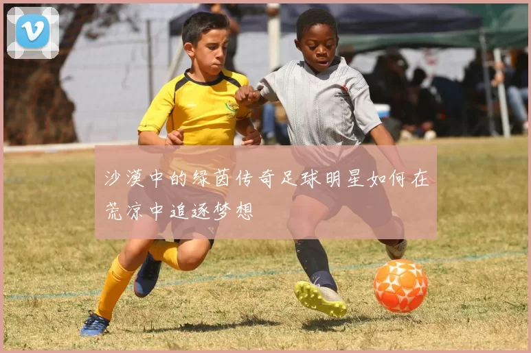 沙漠中的绿茵传奇足球明星如何在荒凉中追逐梦想