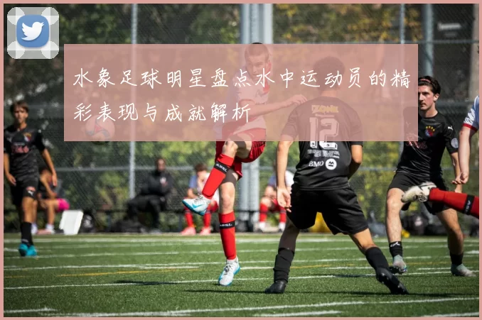 水象足球明星盘点水中运动员的精彩表现与成就解析