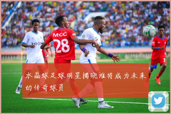 水晶球足球明星揭晓谁将成为未来的传奇球员