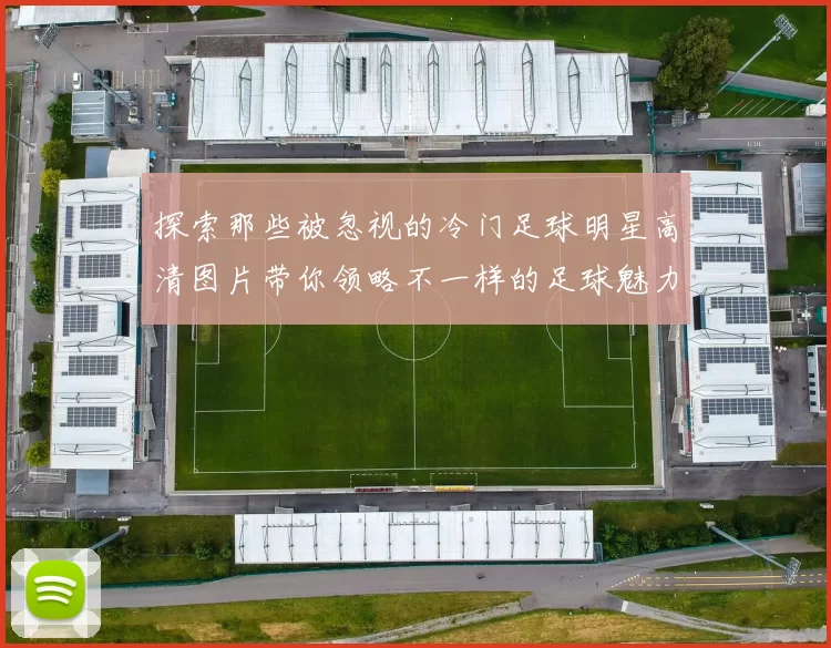 探索那些被忽视的冷门足球明星高清图片带你领略不一样的足球魅力