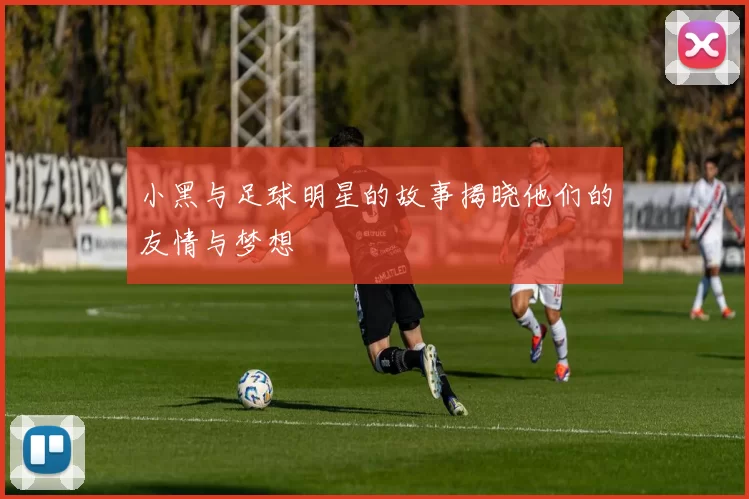 小黑与足球明星的故事揭晓他们的友情与梦想