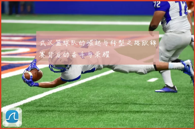武汉篮球队的崛起与转型之路欧锦赛背后的奋斗与荣耀