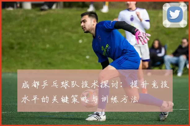 成都乒乓球队技术探讨：提升竞技水平的关键策略与训练方法