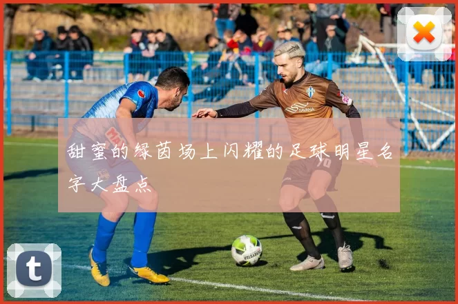 甜蜜的绿茵场上闪耀的足球明星名字大盘点