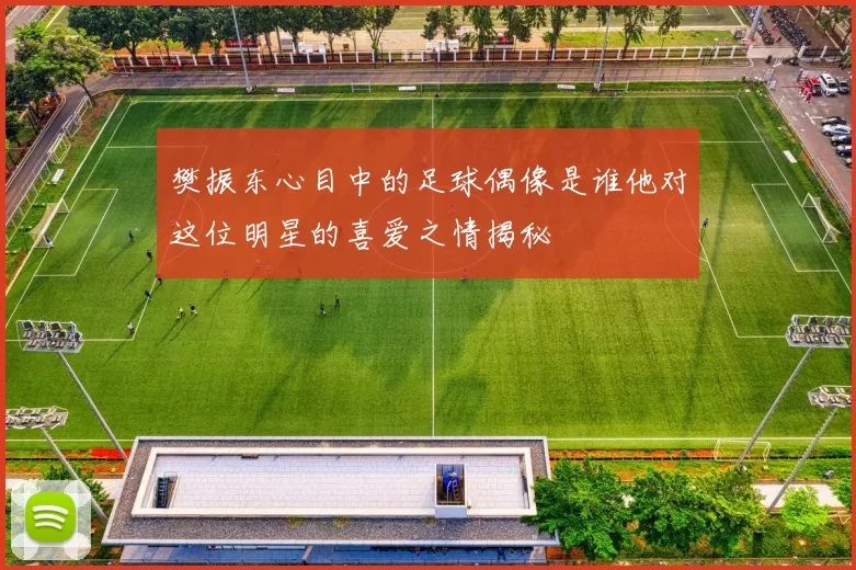 樊振东心目中的足球偶像是谁他对这位明星的喜爱之情揭秘