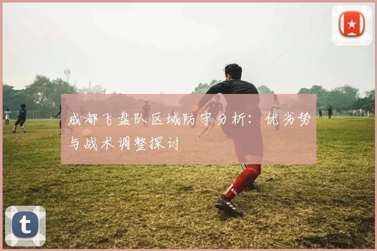 成都飞盘队区域防守分析：优劣势与战术调整探讨