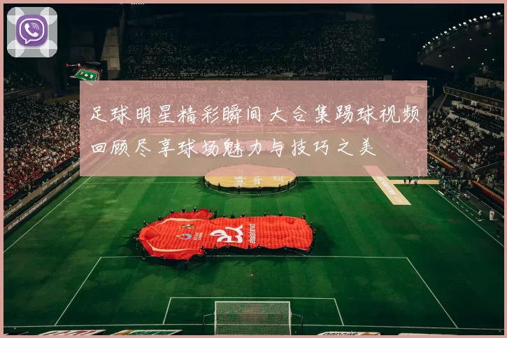 足球明星精彩瞬间大合集踢球视频回顾尽享球场魅力与技巧之美