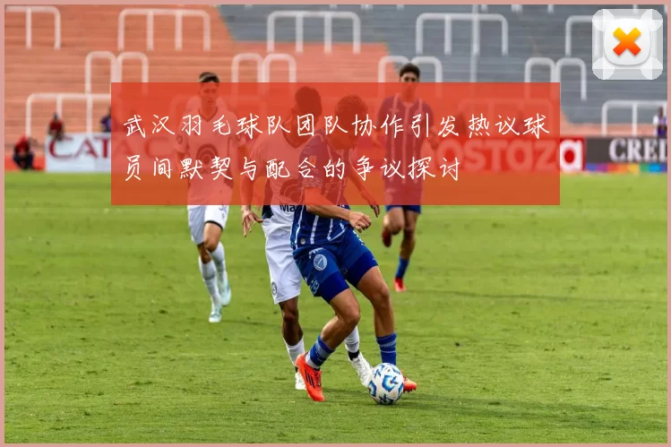 武汉羽毛球队团队协作引发热议球员间默契与配合的争议探讨
