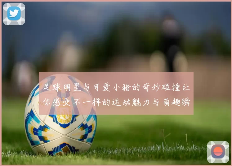 足球明星与可爱小猪的奇妙碰撞让你感受不一样的运动魅力与萌趣瞬间