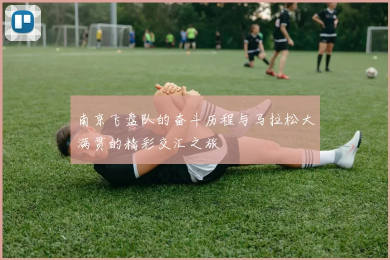 南京飞盘队的奋斗历程与马拉松大满贯的精彩交汇之旅