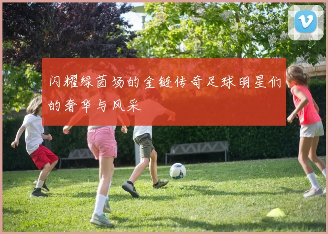 闪耀绿茵场的金链传奇足球明星们的奢华与风采