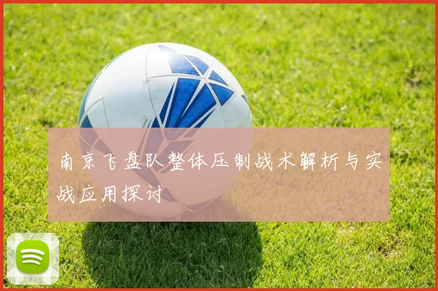 南京飞盘队整体压制战术解析与实战应用探讨