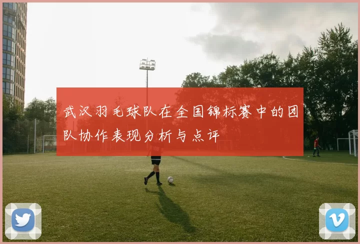 武汉羽毛球队在全国锦标赛中的团队协作表现分析与点评