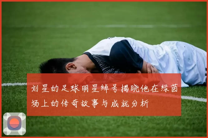 刘星的足球明星绰号揭晓他在绿茵场上的传奇故事与成就分析