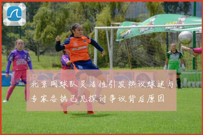 北京网球队灵活性引发热议球迷与专家各执己见探讨争议背后原因