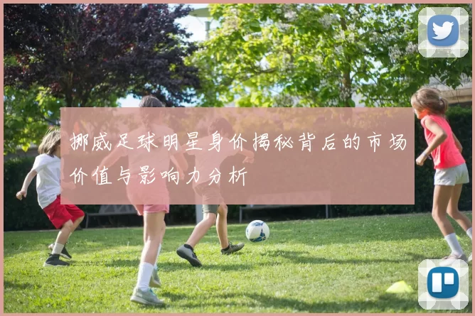 挪威足球明星身价揭秘背后的市场价值与影响力分析