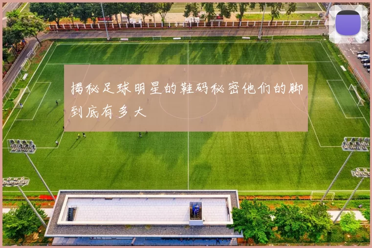 揭秘足球明星的鞋码秘密他们的脚到底有多大
