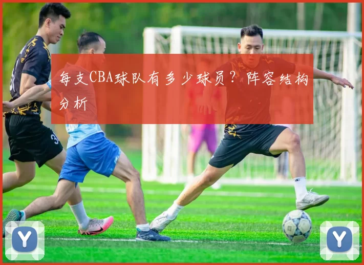 每支CBA球队有多少球员？阵容结构分析