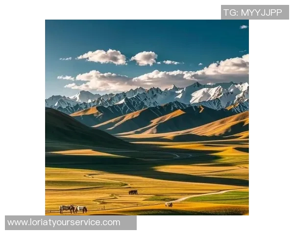 哈萨克斯坦地理文化多样性探索：从草原到现代化城市的变迁与发展