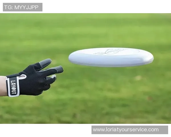 刘军专访:从初学者到飞盘高手的成长与心路历程回顾 刘军专访:从初学者到飞盘高手的成长与心路历程回顾