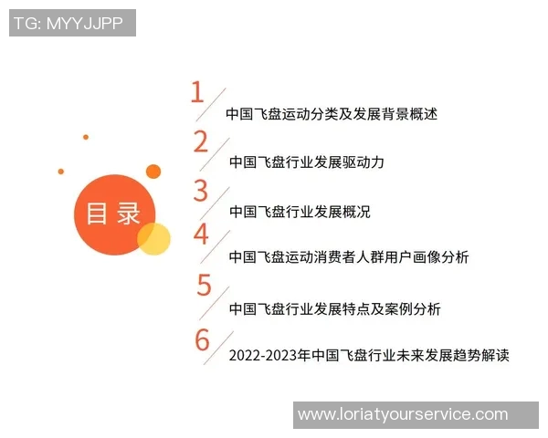 北京飞盘队状态分析及表现评估探讨与未来发展方向研究 北京飞盘队状态分析及表现评估探讨与未来发展方向研究