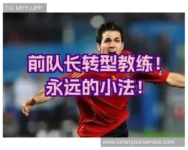 南京足球队转型之路的纪实探索与发展历程回顾 南京足球队转型之路的纪实探索与发展历程回顾