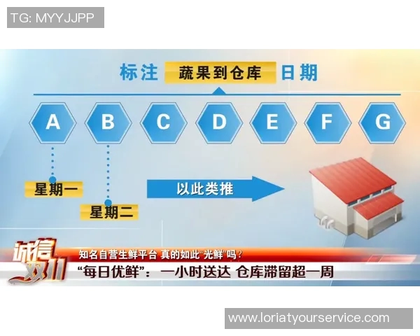 广州篮球队的节奏革新探索与未来发展路径分析