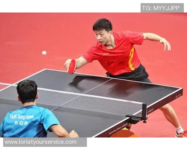 南京乒乓球队个人能力排名创新高引发广泛关注与讨论